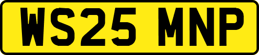 WS25MNP