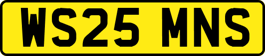 WS25MNS
