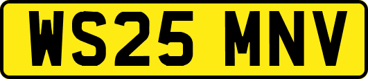 WS25MNV