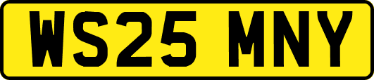 WS25MNY