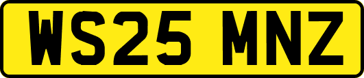WS25MNZ