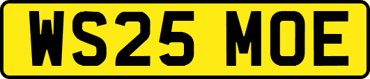 WS25MOE