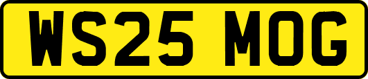 WS25MOG