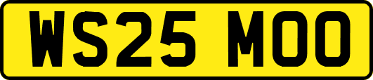 WS25MOO