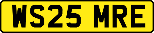WS25MRE