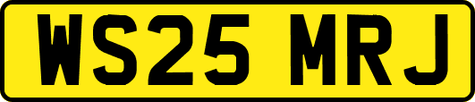 WS25MRJ
