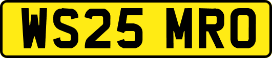 WS25MRO