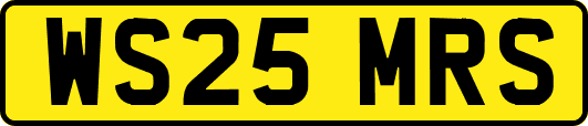 WS25MRS
