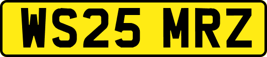 WS25MRZ