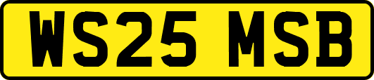 WS25MSB