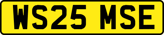 WS25MSE