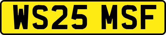 WS25MSF
