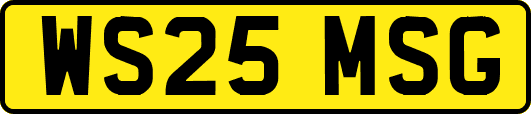 WS25MSG