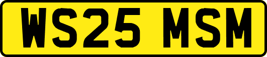 WS25MSM