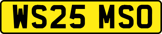 WS25MSO