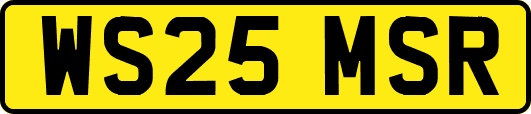 WS25MSR