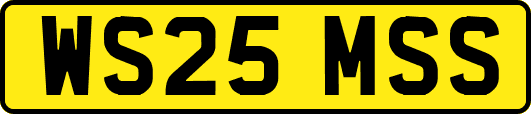 WS25MSS