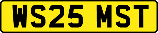 WS25MST