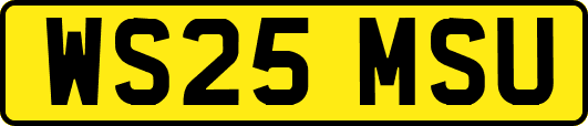 WS25MSU
