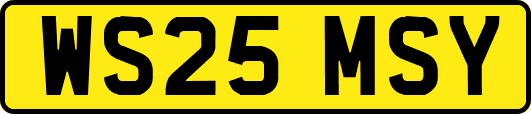 WS25MSY