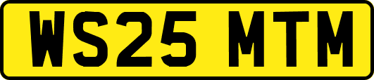 WS25MTM
