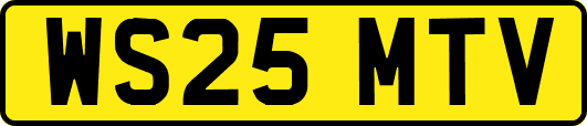 WS25MTV