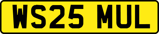 WS25MUL