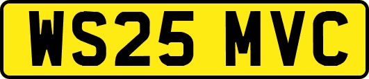 WS25MVC