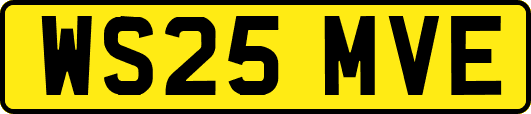 WS25MVE