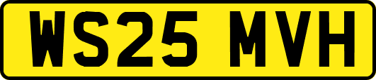 WS25MVH
