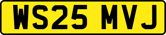 WS25MVJ