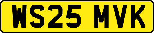 WS25MVK