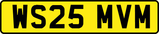 WS25MVM