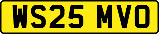 WS25MVO