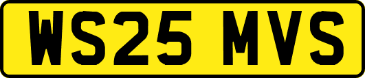 WS25MVS