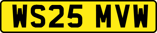 WS25MVW