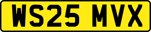 WS25MVX