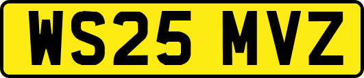WS25MVZ