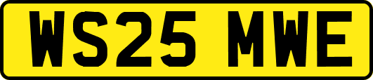 WS25MWE
