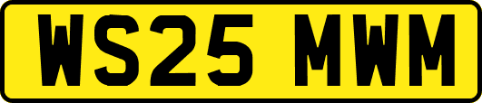 WS25MWM