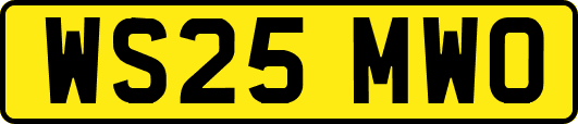 WS25MWO