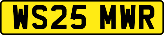 WS25MWR