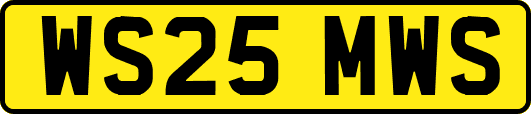 WS25MWS