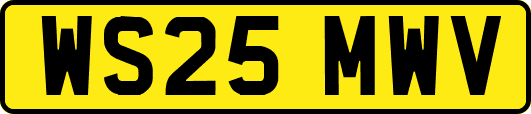 WS25MWV