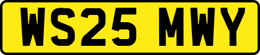 WS25MWY