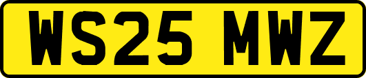 WS25MWZ