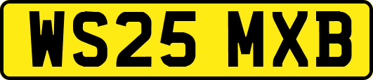 WS25MXB