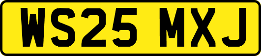 WS25MXJ