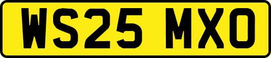WS25MXO