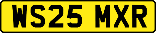 WS25MXR